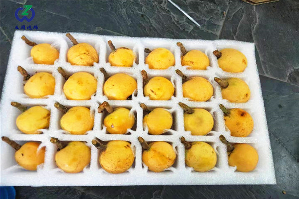 警惕：珍珠棉水果托的制作材料有毒嗎？