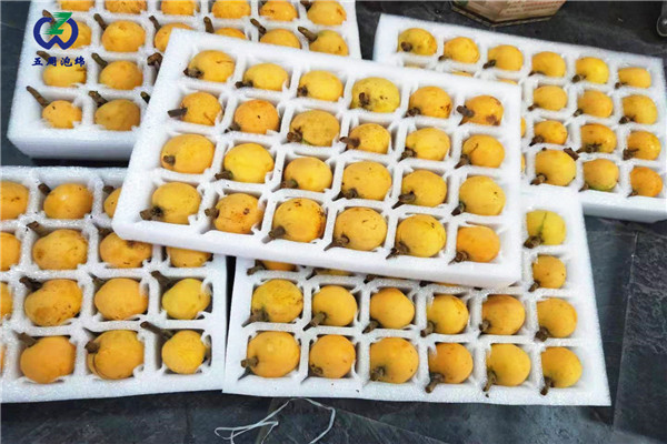 常見的水果內(nèi)托定做材料是什么？